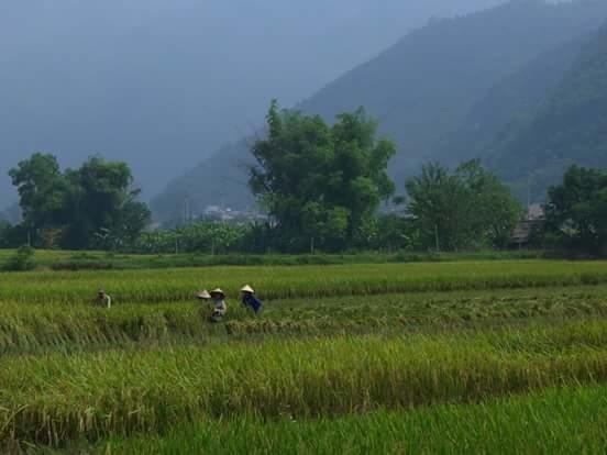 Linh Soi Homestay Mai Chau Exteriér fotografie