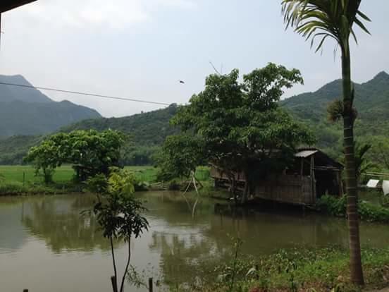 Linh Soi Homestay Mai Chau Exteriér fotografie